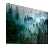 Картина стекло Туманный лес №2 50х70 Картина стекло Туманный лес №2 50х70