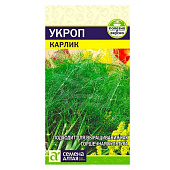 Зелень Укроп Карлик СА Зелень Укроп Карлик СА
