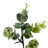 Ветка декоративная Эвкалипт Размер: 10х10х40см Цвет: зеленый Ветка декоративная Эвкалипт Размер: 10х10х40см Цвет: зеленый