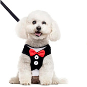  Шлейка с поводком для мелких пород собак и кошек Lapusik, размер L, 333-722 