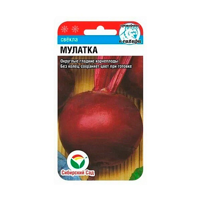  Свекла Мулатка, СибСад 