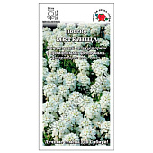 Иберис Метелица, ЗС Иберис Метелица, ЗС