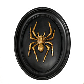 Панно интерьерное Паук, 19х4х24 см, полистоун, чёрный с золотом, 10203946 Панно интерьерное Паук, 19х4х24 см, полистоун, чёрный с золотом, 10203946