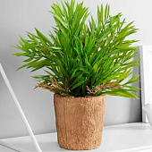  Искусственный цветок в горшке «Хамедорея экстра», 8?24 см, МИКС 