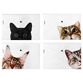 Папка на кнопке А4 ErichKrause Hiding Cats, с рисунком 160 мкм, ассорти, 61155