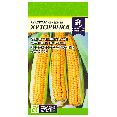 Кукуруза Хуторянка СА Кукуруза Хуторянка СА