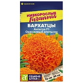 Бархатцы Антигуа F1 Оранжевый апельсин СА Бархатцы Антигуа F1 Оранжевый апельсин СА
