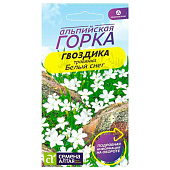 Гвоздика травянка Белый Снег, многолетник   СА 