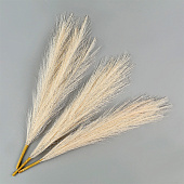 Сухоцветы искусственные «Пампасная трава», 43 см, 3 шт., бежевый 10629672 Сухоцветы искусственные «Пампасная трава», 43 см, 3 шт., бежевый 10629672