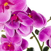  LADECOR Цветочная композиция в виде орхидеи, 10x10x38см, пластик, полистоун, 3 цвета 