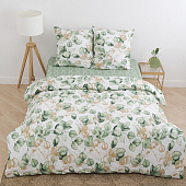 Комплект постельного белья 2 спальный Традиция Эвкалипт, поплин Комплект постельного белья 2 спальный Традиция Эвкалипт, поплин