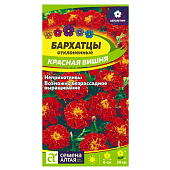 Бархатцы Красная Вишня СА