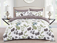 Комплект постельного белья 1,5 спальный Cleo Pure Cotton поплин 15/264-PC Комплект постельного белья 1,5 спальный Cleo Pure Cotton поплин 15/264-PC