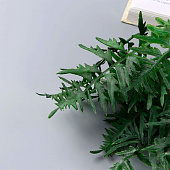 Букет искусственный «Папоротник декоративный галант», 31 см, МИКС 10084601 Букет искусственный «Папоротник декоративный галант», 31 см, МИКС 10084601