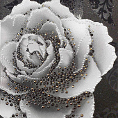  Декор 27.5х40 Монро 5 чер тип 1 /Беларусь 