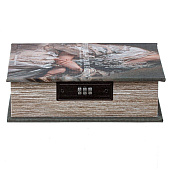  Шкатулка-книга с кодовым замком, L15,5 W6,5 H22 см, 804186 