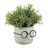 Кашпо "Стив" D115мм 0,65л Белый ротанг М3079 Кашпо "Стив" D115мм 0,65л Белый ротанг М3079