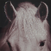 Панно Лошадь, 51х2,5х71 см,799869 Панно Лошадь, 51х2,5х71 см,799869