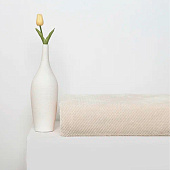  Плед 200х220 Cleo Home Pinoli велсофт 200/005-PN 
