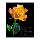  Тетрадь А5 96л скрепка, клетка мат.лам. 3Dлак Roses on black серия  (6/60) /96Т5лолВ1 Хат/ 