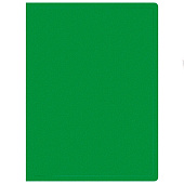 Папка пластиковая 20 прозрачная вкладышей А4 500мкм BURO зеленый, ECB20green/1497134 Папка пластиковая 20 прозрачная вкладышей А4 500мкм BURO зеленый, ECB20green/1497134