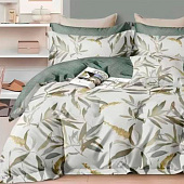 Комплект постельного белья семейный Cleo поплин 41/014-PCE Комплект постельного белья семейный Cleo поплин 41/014-PCE