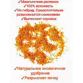 Донник желтый 200гр АлСАД Донник желтый 200гр АлСАД