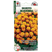 Бархатцы Золото Маккены, ЗС Бархатцы Золото Маккены, ЗС