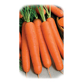  Морковь Голландская/Аэлита-Лидер/цп 