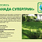  Газон Канада Супер Грин 1кг Садовый Шмель 