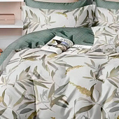 Комплект постельного белья семейный Cleo поплин 41/014-PCE Комплект постельного белья семейный Cleo поплин 41/014-PCE