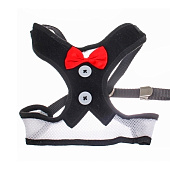  Шлейка с поводком для мелких пород собак и кошек Lapusik, размер L, 333-722 