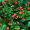  Кизильник (Cotoneaster) Даммера Миранда d9 h20 