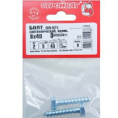 Болт сантехнический оцинк. DIN 571 8х 40 (2 шт) Болт сантехнический оцинк. DIN 571 8х 40 (2 шт)