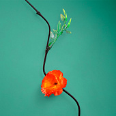  Интерьерный декор из бамбука, цветы пластик 200 см оранжево-желтый   7779956 