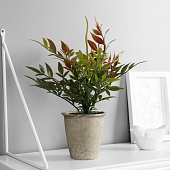 Искусственный цветок в горшке Хамедорея эстра, 22х8,5 см, микс, 10463222 Искусственный цветок в горшке Хамедорея эстра, 22х8,5 см, микс, 10463222