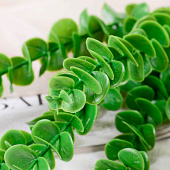 Букет искусственный «Эвкалипт», 45 см 4560187 Букет искусственный «Эвкалипт», 45 см 4560187