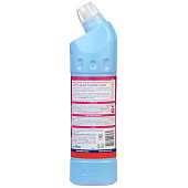  Чистящее средство Domestos Цветущая Магнолия 750 мл 