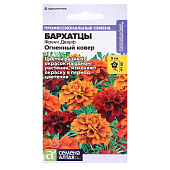 Бархатцы Френч Дварф Огненный ковер СА Бархатцы Френч Дварф Огненный ковер СА