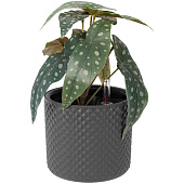 Кашпо Фасет 8л автополив графитовое М3238 Кашпо Фасет 8л автополив графитовое М3238