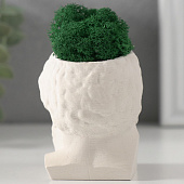 Кашпо бетонное Прометей со мхом, 6,5х5 см, белый, 10412081 Кашпо бетонное Прометей со мхом, 6,5х5 см, белый, 10412081