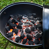 Брикеты длит.горения FORESTER для розжига древесно-угольные 1,8кг Брикеты длит.горения FORESTER для розжига древесно-угольные 1,8кг