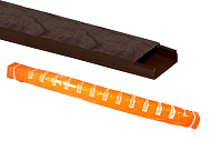 Кабель-канал 40х16 дуб (дл.2м) Кабель-канал 40х16 дуб (дл.2м)