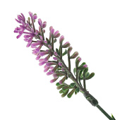 Цветок искусственный "Лаванда", L17 W5 H55 см, 3в. Цветок искусственный "Лаванда", L17 W5 H55 см, 3в.
