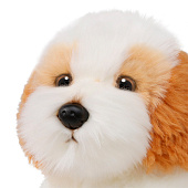 Мягкая игрушка MAXITOYS, собака Кавашон, 25 см Мягкая игрушка MAXITOYS, собака Кавашон, 25 см