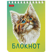 Блокнот А6, 40 л, Котики бывают разными, клетка, 40Б6В1гр