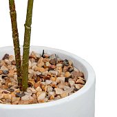  Дерево в цементном горшке с подставкой из МДФ, Д140 Ш140 В790 