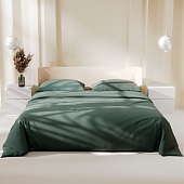 Постельное бельё Этель Евро Green forest 200х215, 220х240, 50х70-2 шт, 100% хлопок, поплин 125г/м2 Постельное бельё Этель Евро Green forest 200х215, 220х240, 50х70-2 шт, 100% хлопок, поплин 125г/м2