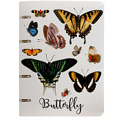  Тетрадь А5 80л, Butterfly, на кольцах, клетка, 10826 