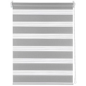 Рулонная штора ДЕНЬ-НОЧЬ 50х160 Сталь Рулонная штора ДЕНЬ-НОЧЬ 50х160 Сталь